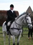 Mike Tucker, Equestrian commentator